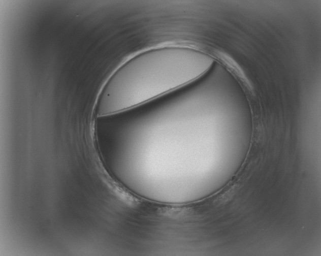X0000072491284200607140901