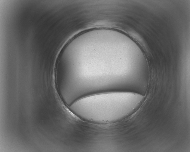 X0000072491288200607140901