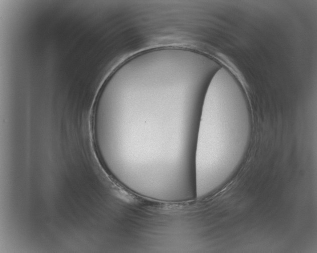 X0000072491291200607140901