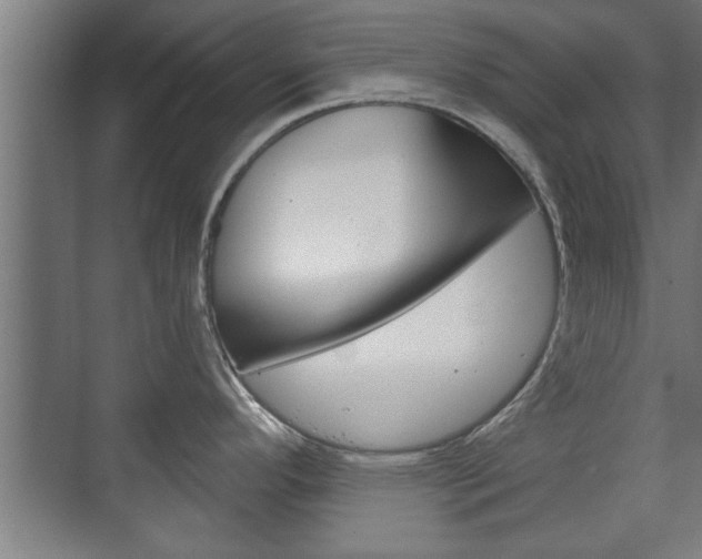X0000072491296200607140901