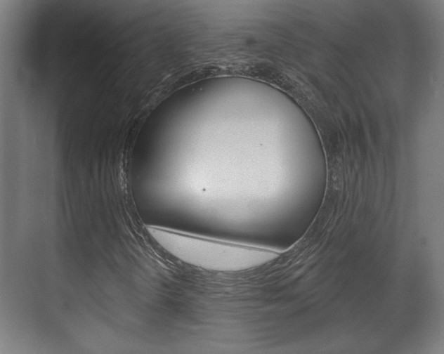 X0000072491298200607140900