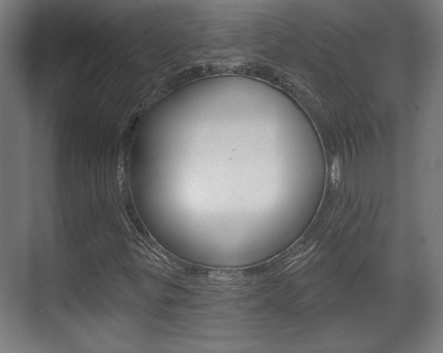 X0000072491299200607140900