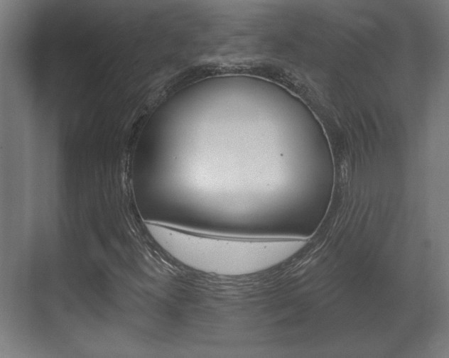 X0000072491300200607140900