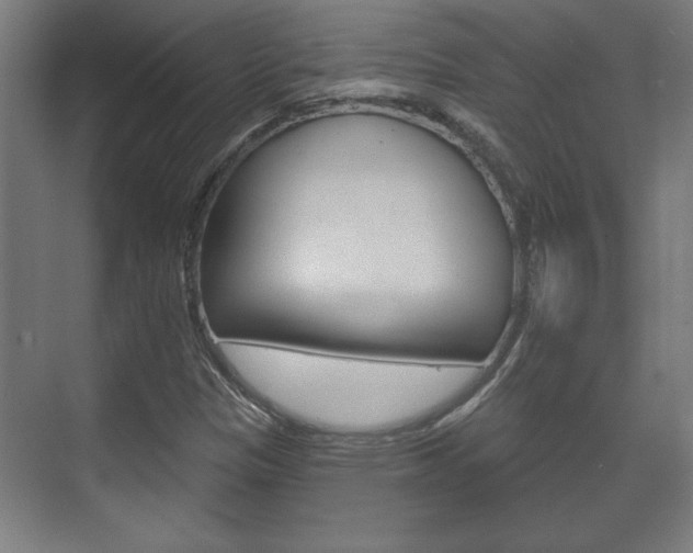 X0000072491305200607140900