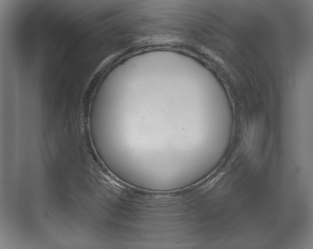 X0000072491306200607140900