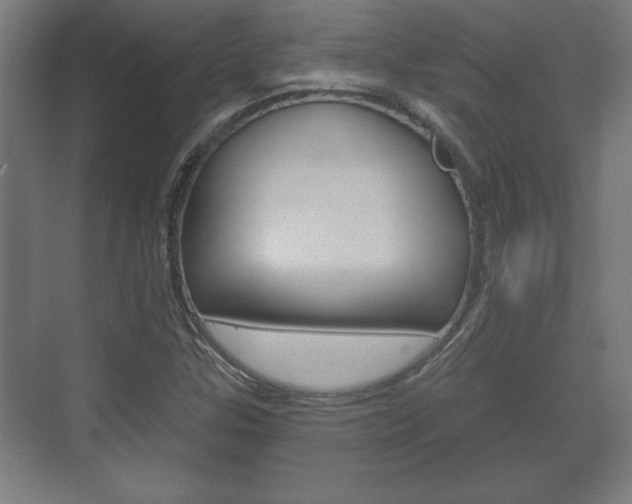 X0000072491307200607140900