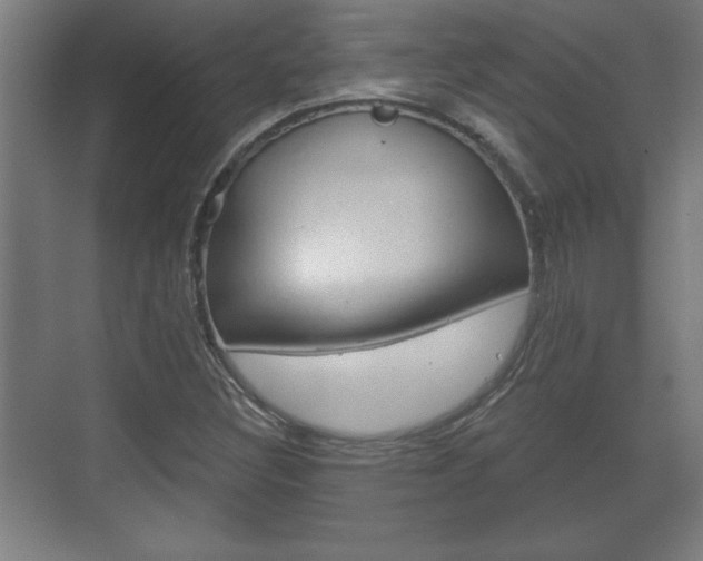 X0000072491308200607140900