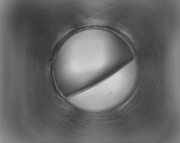 X0000072491309200607140900
