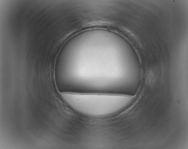 X0000072491313200607140900