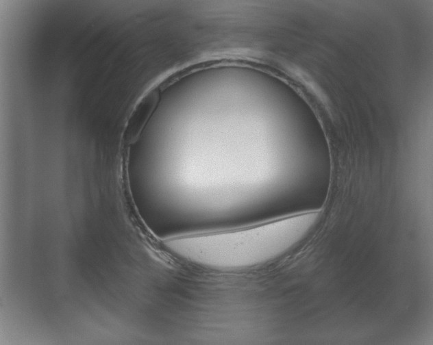 X0000072491316200607140900