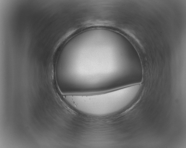 X0000072491317200607140900