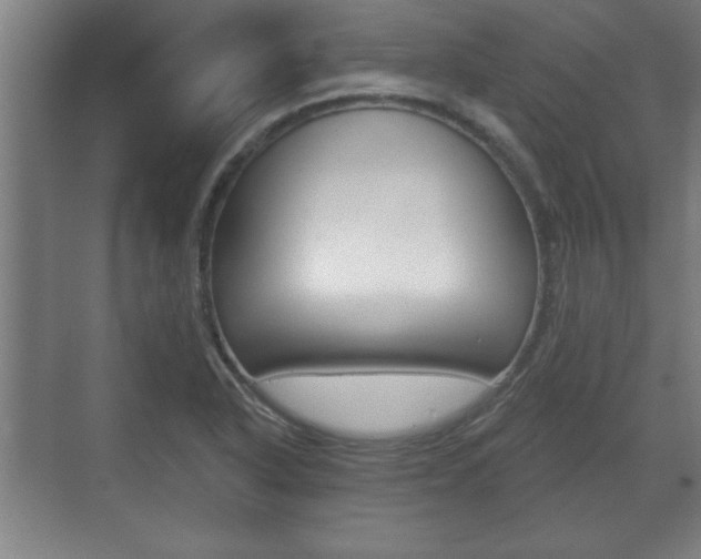 X0000072491318200607140900