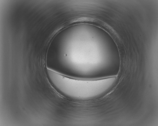 X0000072491321200607140900