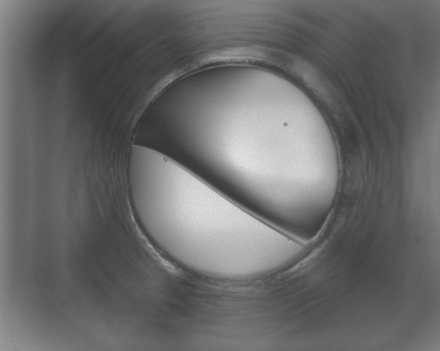 X0000072491329200607140900