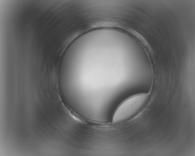 X0000072491337200607140900