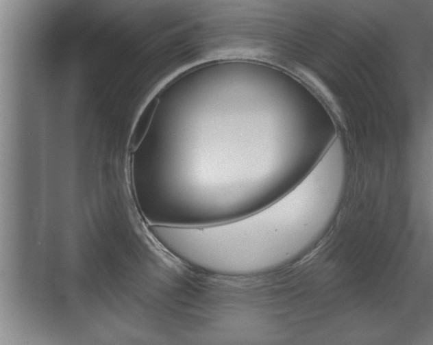 X0000072491340200607140901