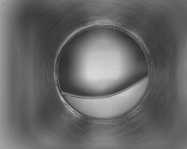 X0000072491342200607140901