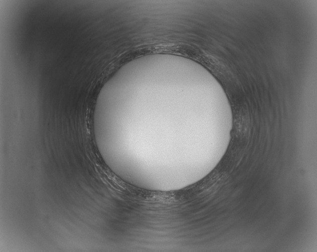 X0000072491346200607140900