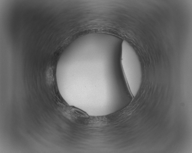 X0000072491347200607140900