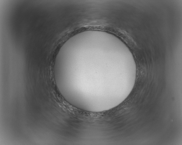 X0000072491350200607140900
