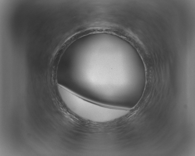 X0000072491352200607140900