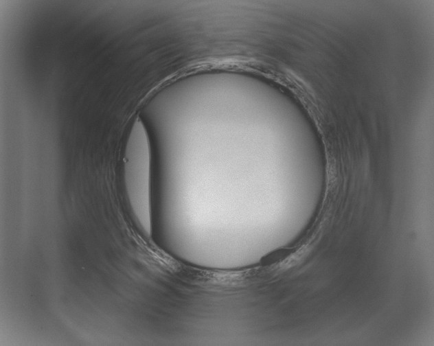 X0000072491353200607140900
