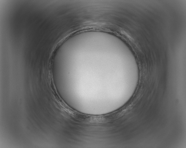 X0000072491354200607140900