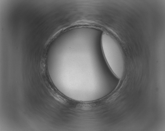 X0000072491355200607140900