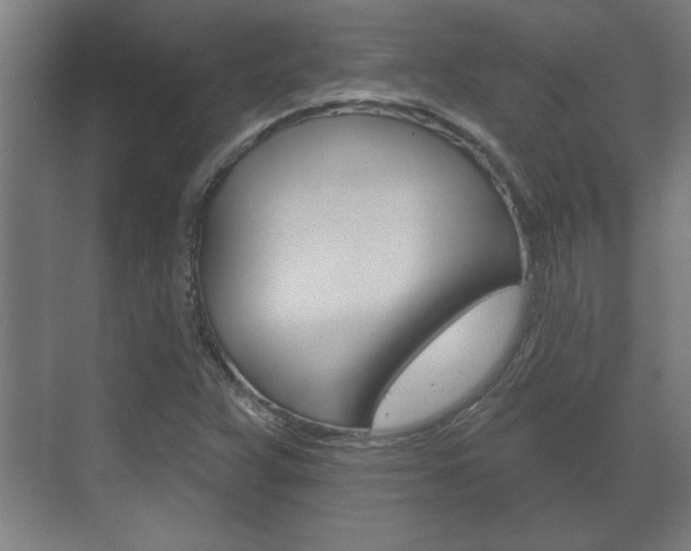 X0000072491359200607140900