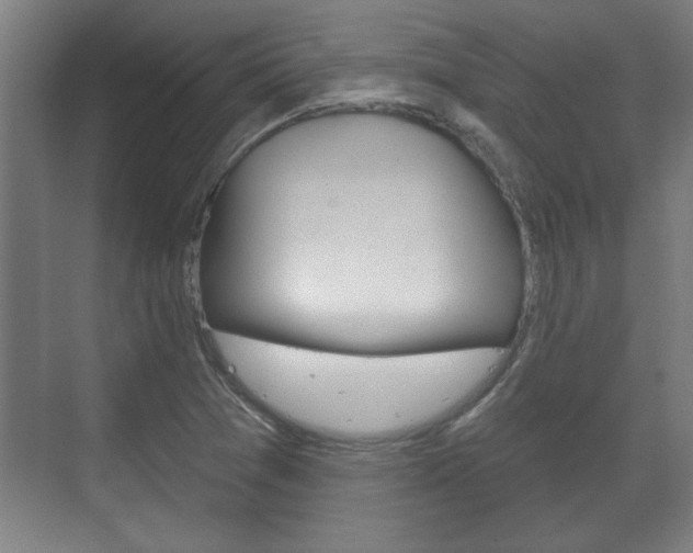 X0000072491361200607140900