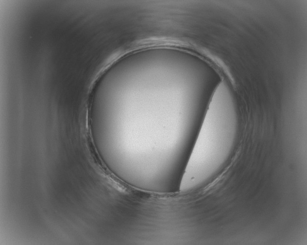 X0000072491365200607140859