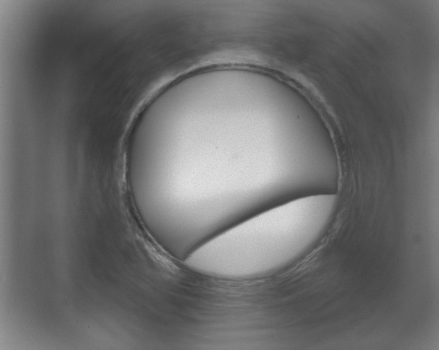 X0000072491366200607140859