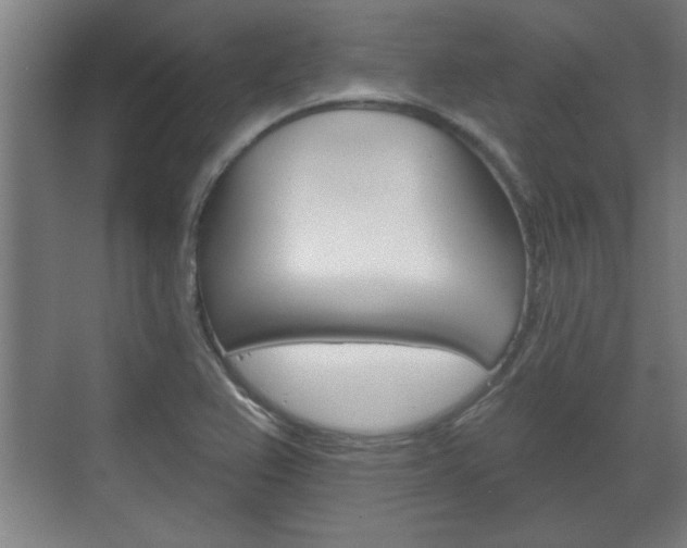 X0000072491367200607140859