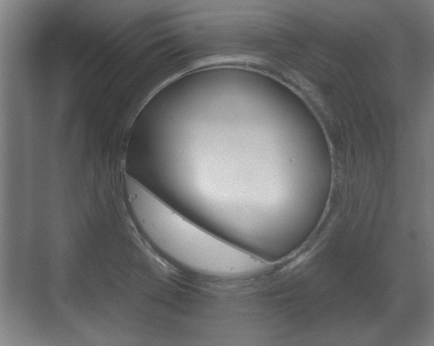 X0000072491369200607140859