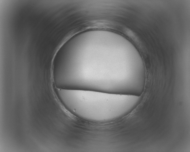 X0000072491370200607140859