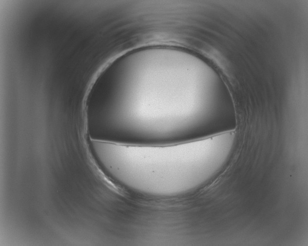 X0000072491371200607140859