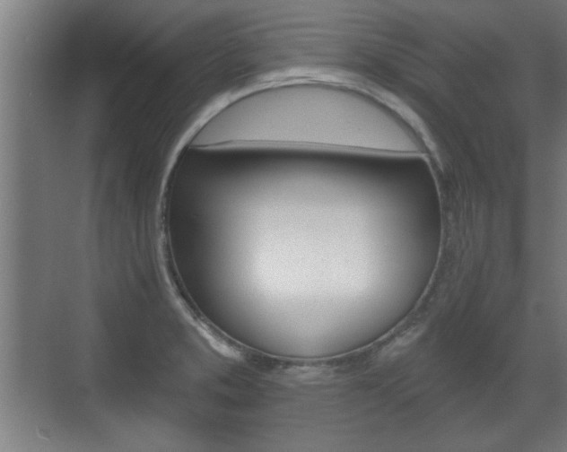 X0000072491373200607140859