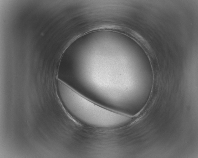 X0000072491377200607140859