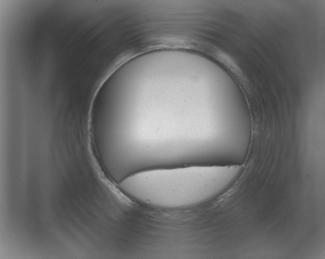 X0000072491378200607140859