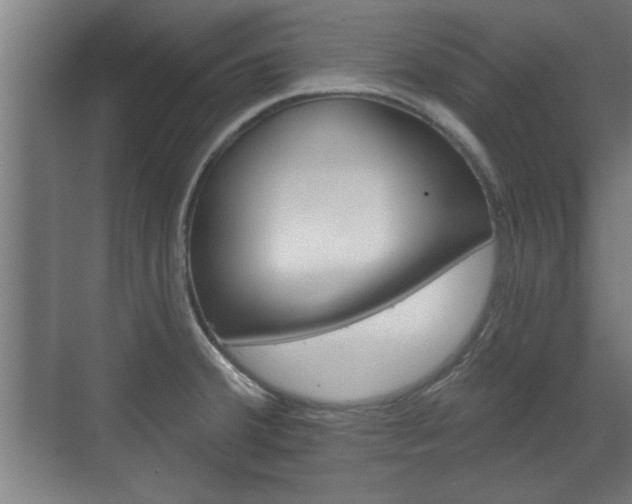 X0000072491380200607140859