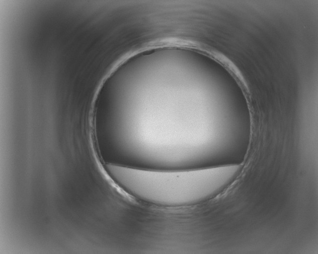 X0000072491381200607140859