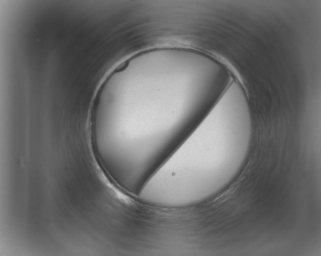 X0000072491387200607140859