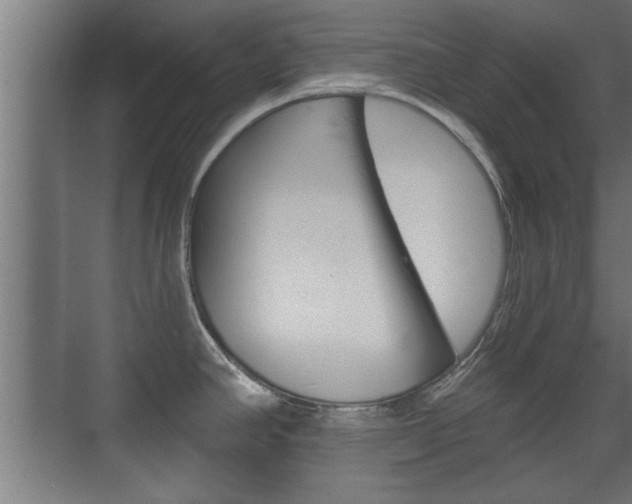X0000072491390200607140859