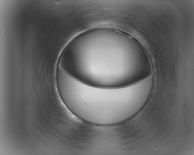 X0000072491392200607140859