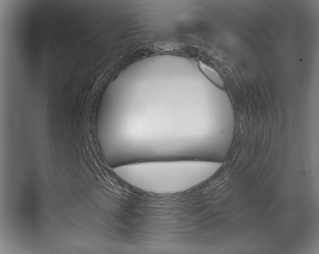 X0000072491393200607140858