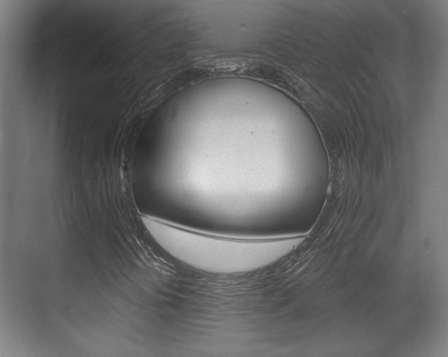 X0000072491394200607140858