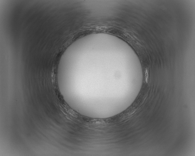 X0000072491395200607140858