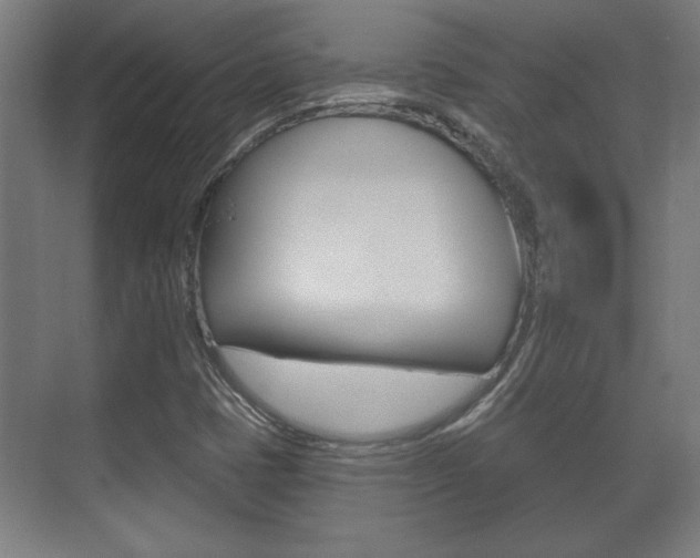 X0000072491401200607140858