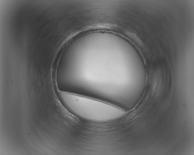 X0000072491404200607140858