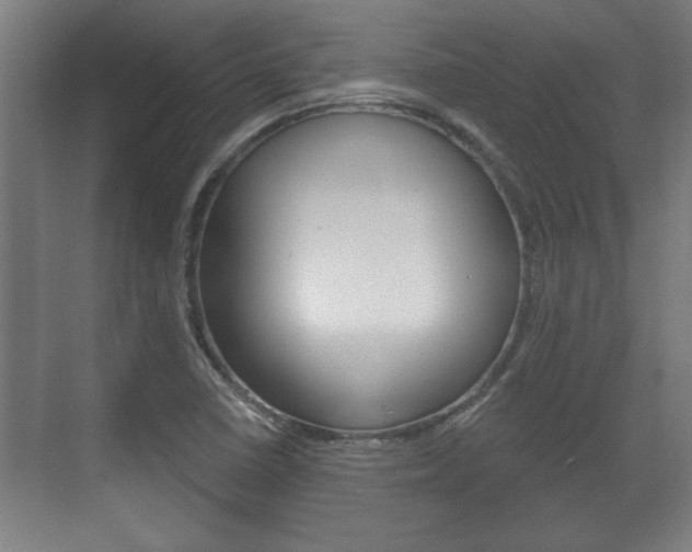 X0000072491410200607140858